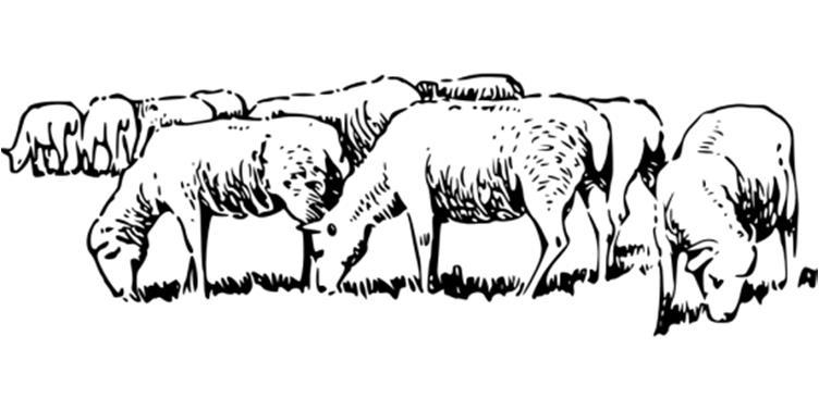 Unikato Murheet, stressi, taustameteli, epämukava vuode, levottomat tai kylmät jalat, norkkoniisku ja kuuma makuuhuone aiheuttavat unen karkaamista; on vaikeus saada illalla unta.