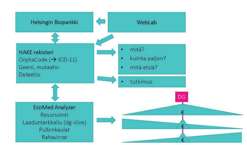 Hoitopolun mutkikkuus kuvaa hukkakäyttöä. Joidenkin sairauksien diagnosoinnin erityistä kalleutta kuvaa, että diagnosointikäyntien (+/- 3kk) kustannuksista 70 % tuli 5 %:lta potilaista.