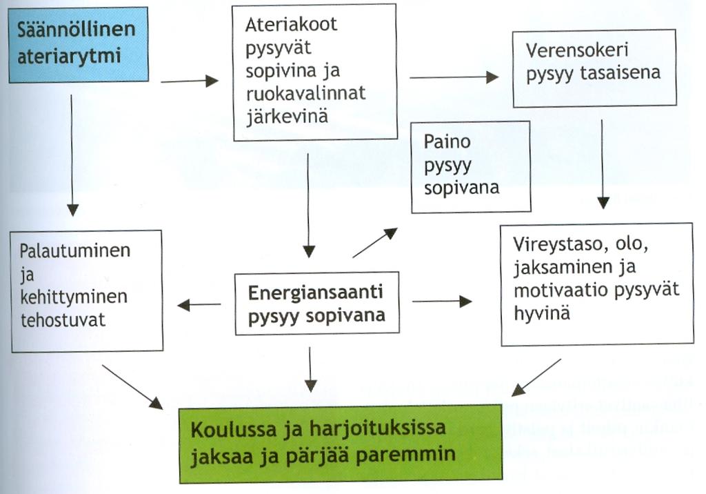 ravinnonsaanti. (Ilander, 2008, 243.) Miettisen (1999, 39) mukaan ihanne ateriarytmi on kolme pääateriaa (aamiainen, lounas, päivällinen) välipaloineen.