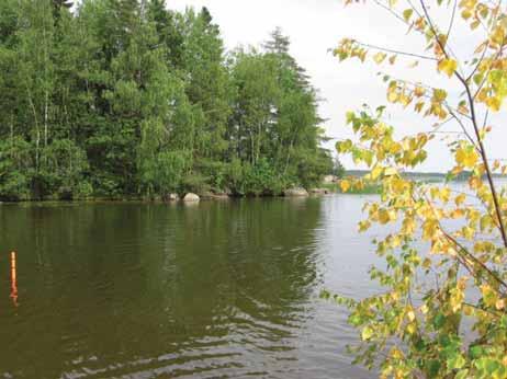 Järven rannalla on lintutorni, josta voi kätevästi bongailla erilaisia harvinaisia lintuja, kuten pikkuja luhtahuitteja sekä liejukanoja.