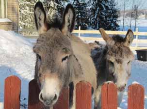 Tien oikealle puolelle jää Takamaan seuratalo ja vasemmalle Takamaan entinen koulu ja pari kilometriä koululta kylän korkein paikka Raavuori.