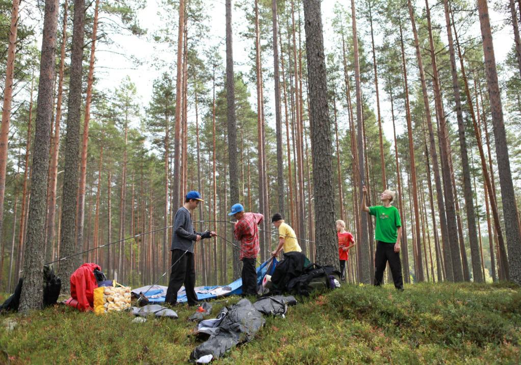 Hankintojen laskennan lähtötietoina on käytetty kaupungin tekemien keskitettyjen hankintapäätösten määrää (milj. ) 