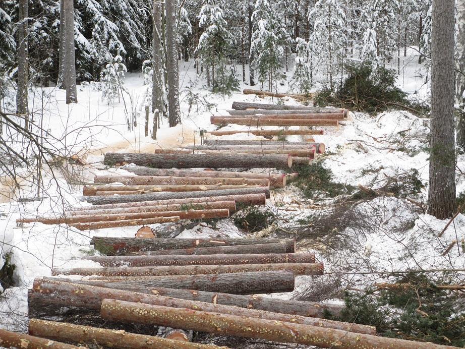 9 himmäismäärää soveltaa puutavaralajiryhmälle. Jos 10 pölkyn määrää ei saavuteta tälläkään tavalla, voidaan kyseinen puutavaralajiryhmä jättää tarkastusmittauksen ulkopuolelle. (Sipi 2009, 124.