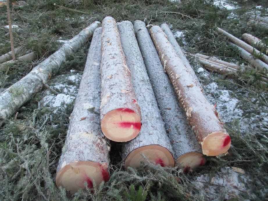järjestyksessä. Koekuormien ajomääräyksinä käytettiin tehdasmittaa, jolloin ei ollut vaaraa, että ne sekoittuisivat vastaanoton muihin mittauseriin. 15 KUVA 3.