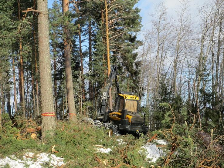 4 KUVA 1. Hakkuukone koetyömaalla. Käytännön mittaus tapahtuu hakkuupään mitta-antureilla.