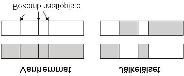 Kuva 4.3: Kolmepisteristeytys. GA:ssa, kuten myös kuvasta 4.4 käy ilmi.