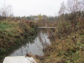 Tutkinnan suunnittelu Tutkinnanjohtajalla ja taktisella tutkijalla on kokonaisvastuu. Ympäristöviranomaisilta tietoa yrityksen toiminnasta, ympäristöluvista jne.