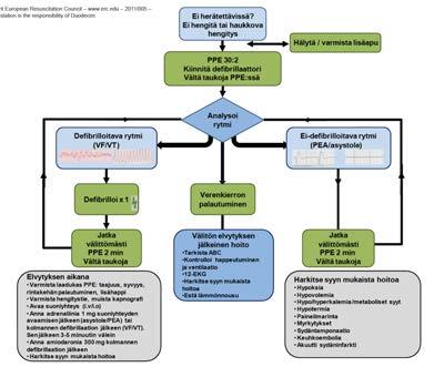 (asystole tai PEA), jatketaan PPE 2 min - annetaan adrenaliinia 1 mg iv kun suoniyhteys on avattu Ilmatien varmistaminen - Hengitystie varmistetaan intubaatiolla tai muulla välineellä (larynks-maski,