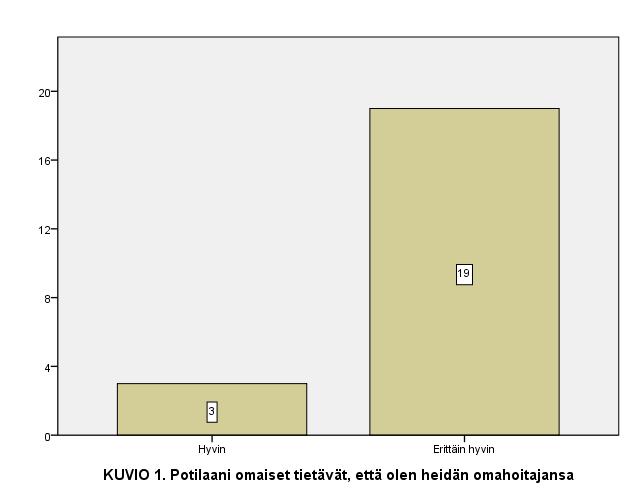 23 Ensimmäisen summamuuttujan viimeisenä väittämänä vastaajilta kysyttiin perheen tukemisen tärkeyttä. Lähes kaikki vastanneista piti perheen tukemista erittäin tärkeänä (kuvio 19