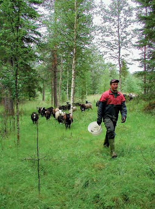 Aineisto ja menetelmät 2 Keväällä 2005 pidetyssä Lapin ympäristökeskuksen koollekutsumassa maakunnallisen ohjausryhmän kokouksessa yleissuunnittelualueeksi valittiin alustavasti Sallassa sijaitseva