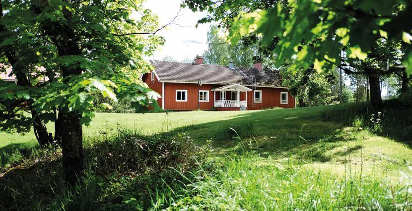 Enä-Sepän Punainen talo. ENÄ-SEPPÄ Vuoden 2016 aikana Enä-Seppä on palvellut monenlaisia kulttuurin ja kolmannen sektorin yhteisöjä.