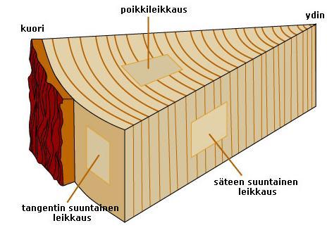 Epähomogeeninen : 2.