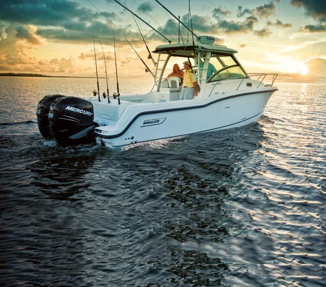 Hyvät geenit. Mercury Marine on maailman johtava venemoottorien valmistaja. Mercury tunnetaan erityisesti kaikkein hienoimpien ja voimakkaimpien perämoottoreiden, mm.