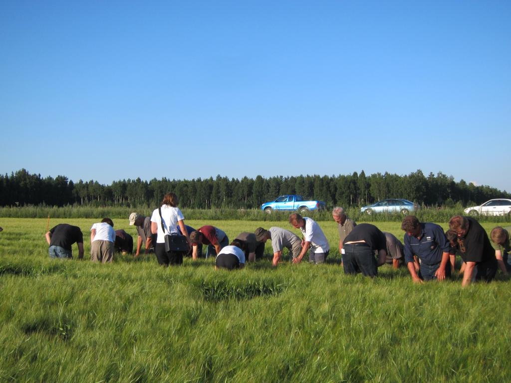 34 PesticideLife Demonstraatiotilat tiedon tuottajina Tiedonvaihto Verkostoituminen Neuvonta Jatkuva oppiminen MITÄ ON IPM IPM:n YLEISET PERIAATTEET käyttöön kasvintuotannossa 2014 alkaen: