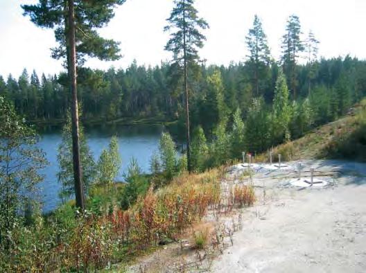 E t e l ä - S a v o n y m p ä r i s t ö k e s k u k s e n m o n i s t e 65 Kirsi Ylönen Eräät orgaaniset