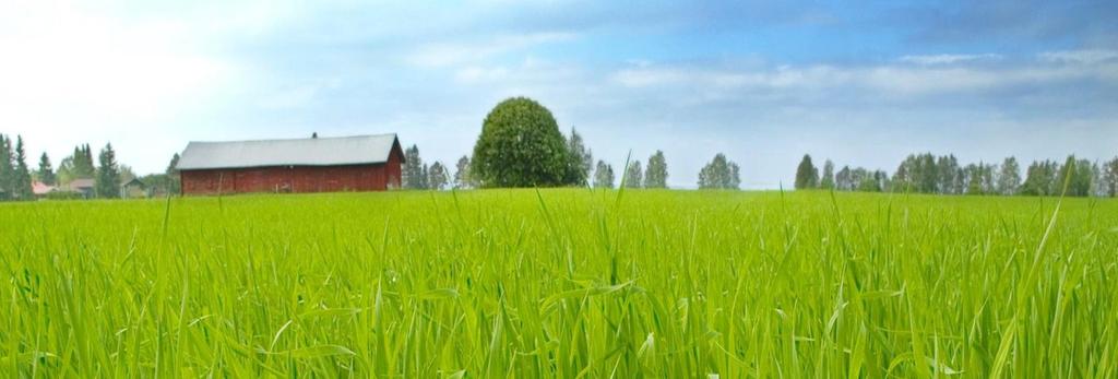 Kasvavien maatilojen taloudenhallinnan