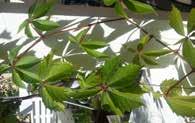 ENT, SEQUODIS DOLUPTATUR RE ETURIANDA QUE MO TENDIS VOLEST, IN EX EA NOS SINT SOLORUSINT PORERRORUM REIC ODI NON REM SUS ETURIANDA OD ENT, QUE SEQUODIS ENT, MO SEQUODIS DOLUPTATUR RE