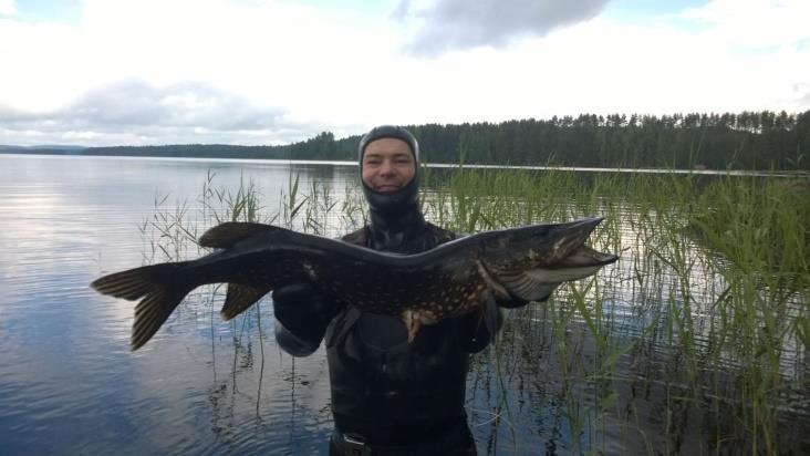 SUKELLUSKALASTUS SEURAN UUSI HARRASTUSMUOTO Sukelluskalastus on mielenkiintoinen, haastava ja mahtavia elämyksiä tarjoava kalastustapa.