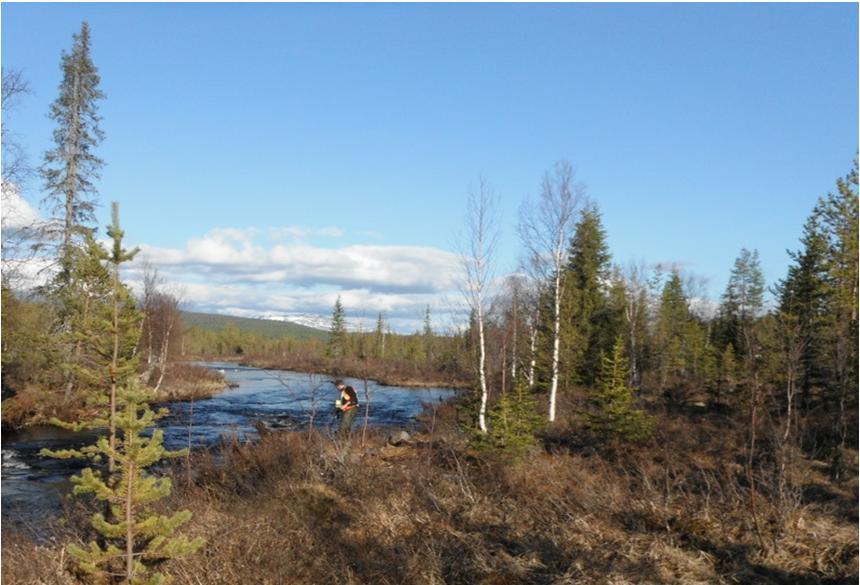 6.3.2 Kuerjoki Valuma-alueet ja yleiset virtausreitit Kuerjoki on Äkäsjoen suurin sivujoki. Äkäsjokeen laskemiskohdassa Kuerjoen valuma-alueen pinta-ala on 162 km 2.