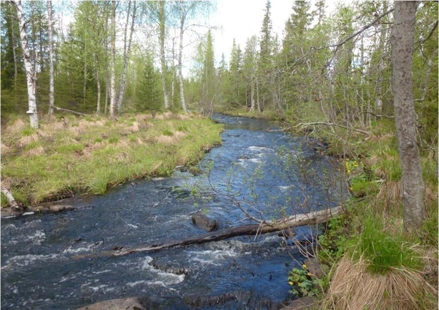 6.3.4 Niesajoki Valuma-alue ja yleiset virtausreitit Niesajoki on Muonionjoen sivujoki, jonka valuma-alue jokisuulla on noin 70 km 2, valokuva 6-4 ja Kuva 5-4.