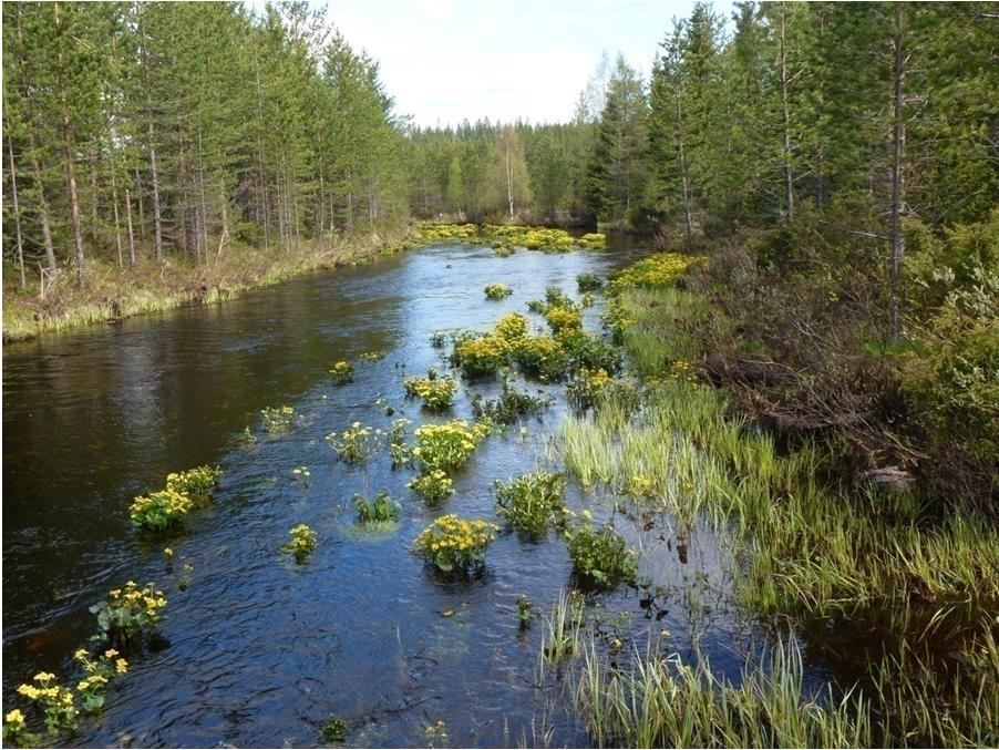 6.3.5 Kylmäoja Valuma-alue ja päävirtausreitit Kylmäoja on Äkäsjoen sivujoki, jonka valuma-alueen pinta-ala on 38,8 km 2.