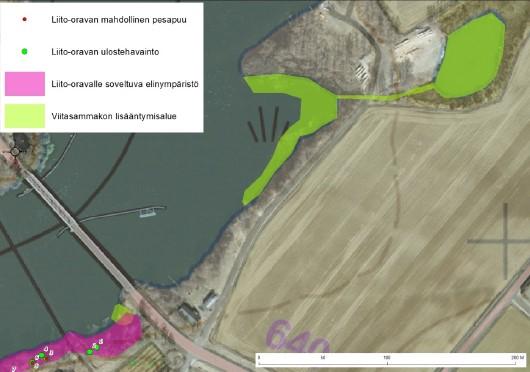 Alueelta oli myös aiemmin tunnettu liito-oravahavainto vuodelta 2014 (Keski-Suomen ELY-keskus).