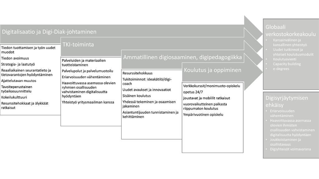Itsearviointiraportissa e-kampustoiminnalla viitataan myös kansainvälisiin yhteistoteutuksiin, joista tässä raportissa kuvattu tutkintotavoitteisen koulutuksen näyttö Master s Degree in Global Health