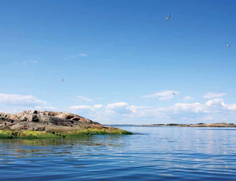 Muita Helsingin saaria l Övriga holmar i Helsingfors Helsingin alueella sijaitsee kymmeniä saaria, joita hallinnoivat kaupungin eri virastot tai muut tahot.
