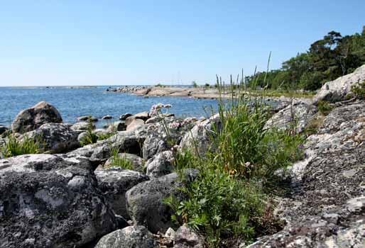 Kaunissaari Suosittu ulkoilu- ja telttailusaari sijaitsee noin 22 km Helsingistä itään Sipoon saaristossa, lähes ulkomerellä.