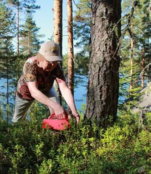 myöten myyntiarvo korkeammaksi.