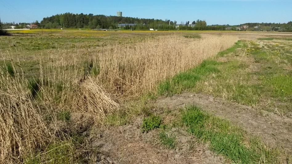 Rauhalinnanojaan asennettiin mitta-asema marraskuussa 2014