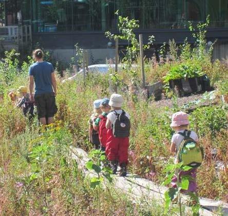 Monimuotoisuus Vähän ohjeita tai sääntelyä Matala tavoitetaso Paljon nousevia