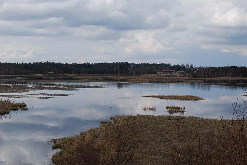 Keski-Suomen maakunnallisesti tärkeät lintualueet 36 (62) Hoitosuositus: Lapinjärven tilaa tulisi seurata ja tarvittaessa estää järven umpeenkasvu. Kuva 3.