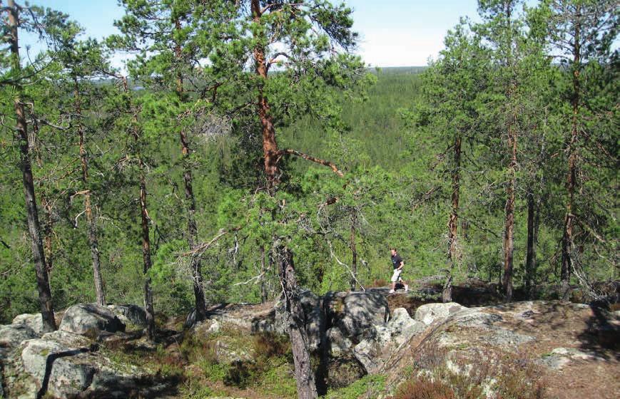 KAAVAN SISÄLTÖ JA PERUSTEET VIRKISTYS, MATKAILU JA URHEILU Käskyvuori, Kihniö. MERKINNÄT JA MÄÄRÄYKSET Ulkoilureitti.