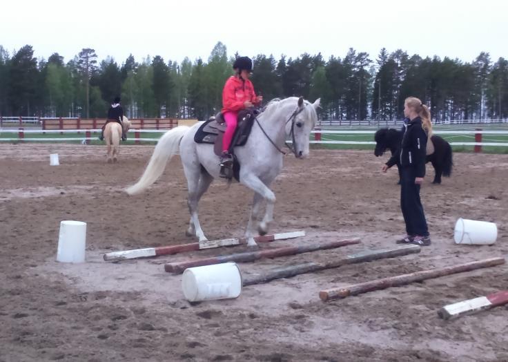 4 KERHOT JA NIIDEN OHJAAJAT Alvajärvi 0-6 lk Kirkonkylän Pet s-kerho Roosa Puurula ja Veera Ylälehto (kevät) Henna Kinnunen (syksy) Jennika Vartiainen ja Sanna Rauhala (kevät) Tiina Pasanen (syksy)