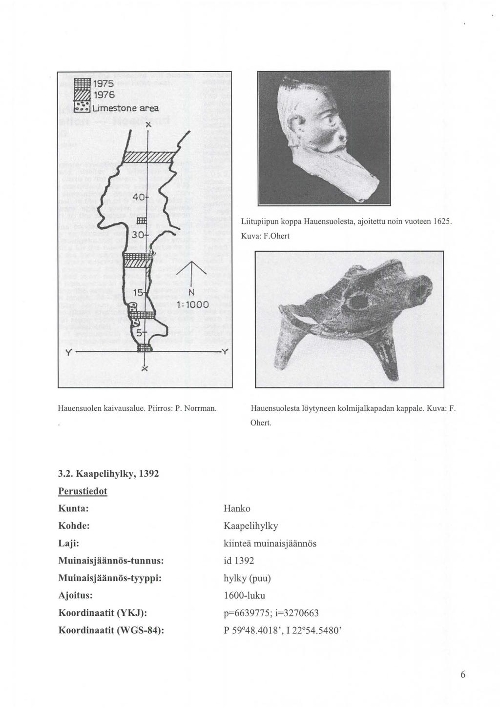 11975 1976 Umestone area }<. Liitupiipun koppa Hauensuolesta, ajoitettu noin vuoteen 1625. Kuva: F.Ohert N 1; 1000 X Hauensuolen kaivausalue. Piirros: P. Norrman.