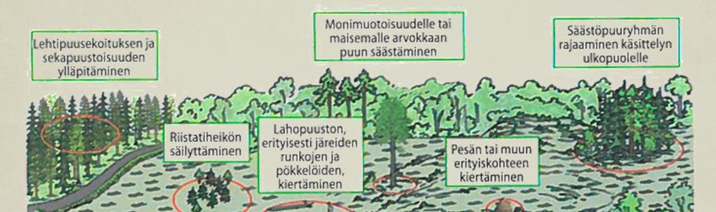 Lehtipuusekoituksen ja sekapuustoisuuden ylläpitäminen Luonto ja ympäristö Riistatiheikön säilyttäminen Lahopuuston, erityisesti järeiden