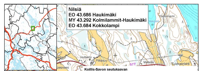 13 Nilsiä 17.8.