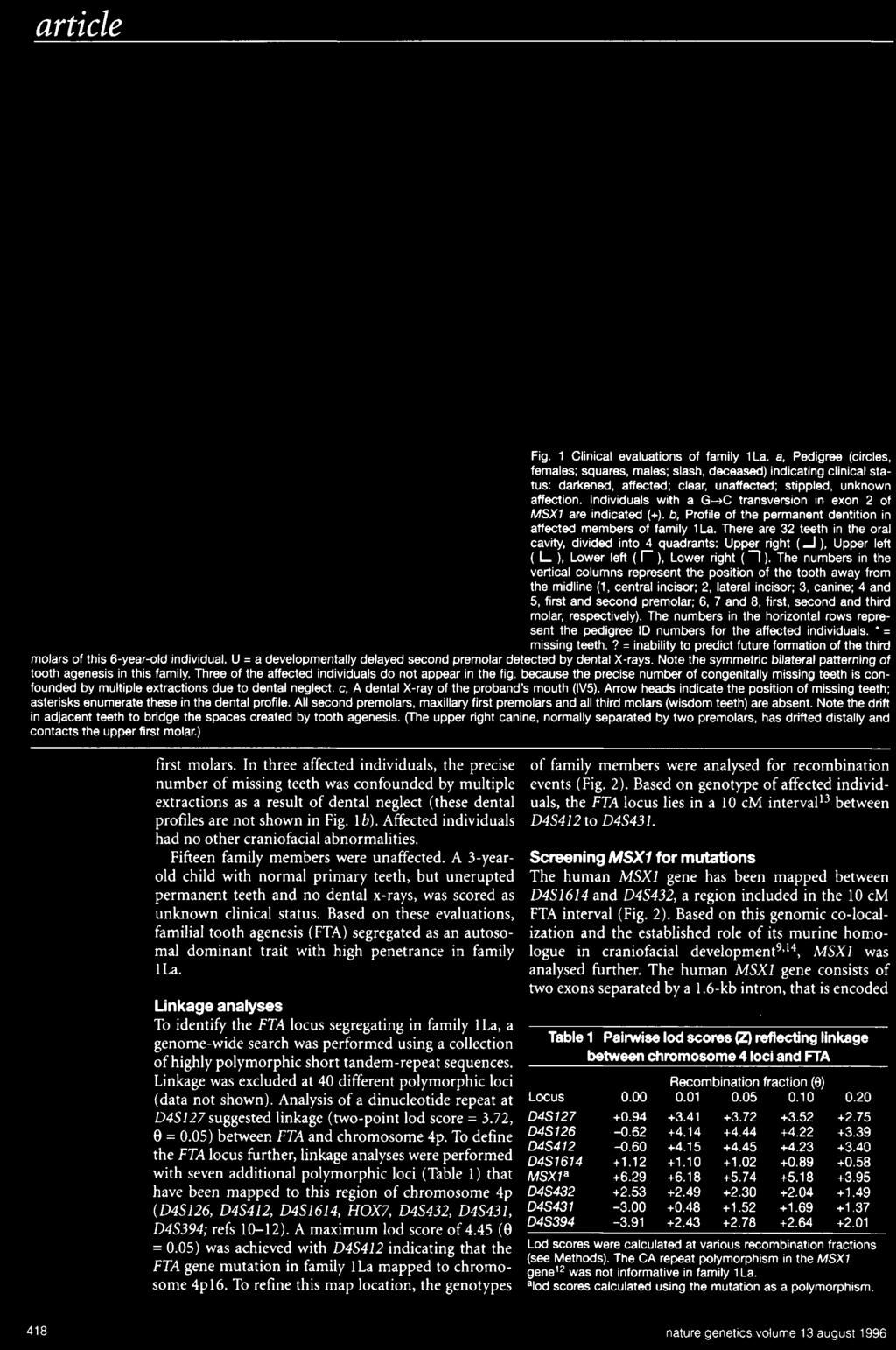 Transkriptiofaktorin mutaatio voi aiheuttaa muutoksen fenotyypissä (toinen esimerkki): A human MSX1 homeodomain missense mutation causes selective tooth agenesis. Vastardis et al.