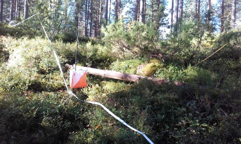 Monipuolinen rastiväli, suurin osa meni