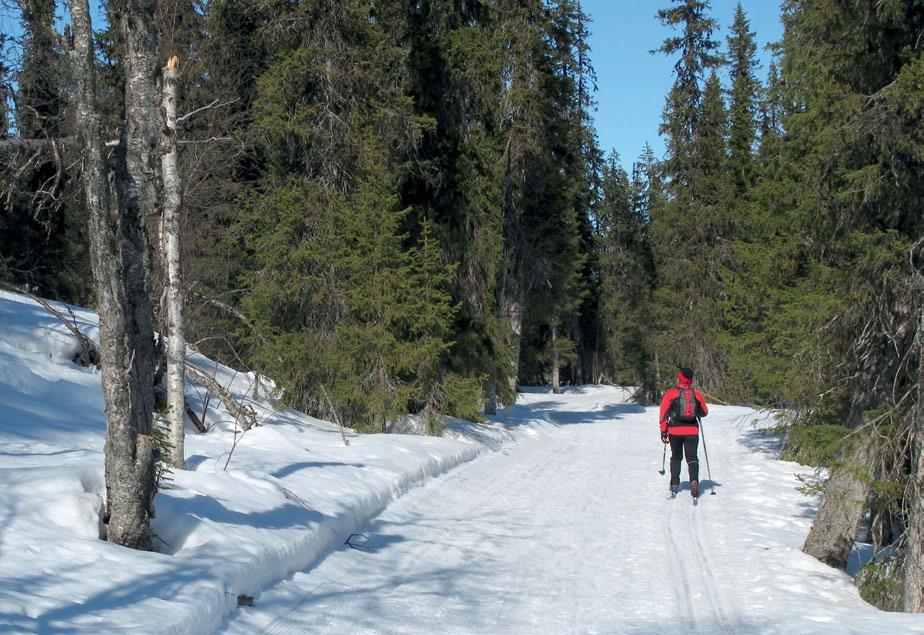 Seppo Alatalo/Vastavalo.fi Maankäyttö- ja rakennuslain mukaan kaivostoiminnan alueet otetaan huomioon kaavoja laadittaessa.