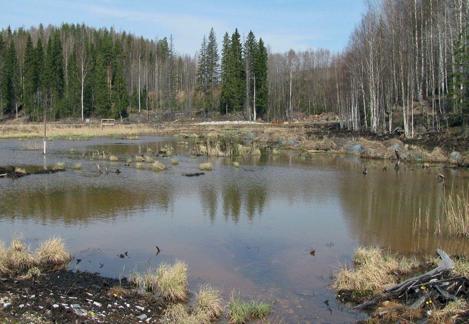 kuivanapitovesiä, mutta usein prosessit edellyttävät puhtaan tuoreveden käyttöä. Tuorevesi otetaan yleensä läheisestä järvestä tai joesta.