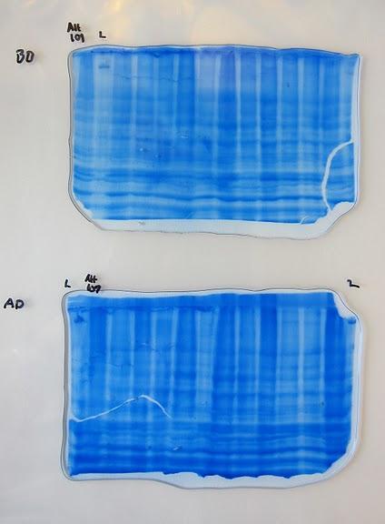 44 Kuva 15. HCpro:n Western Blot -geelien kuvat Kuvassa 16 on nähtävissä näytteiden 3-5 sekä 7-12 juosteet. Positiivinen kontrolli ei näy näin lyhyen valotusajan jälkeen.