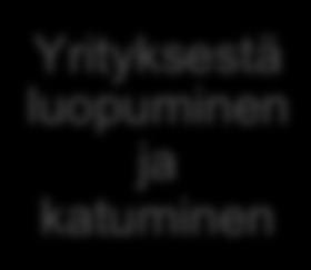 syntymisen, ei tekijää rangaista rikoksen yrityksestä. Kaikkia rikokseen osallistuneita rangaistaan rikoksen tekijänä.