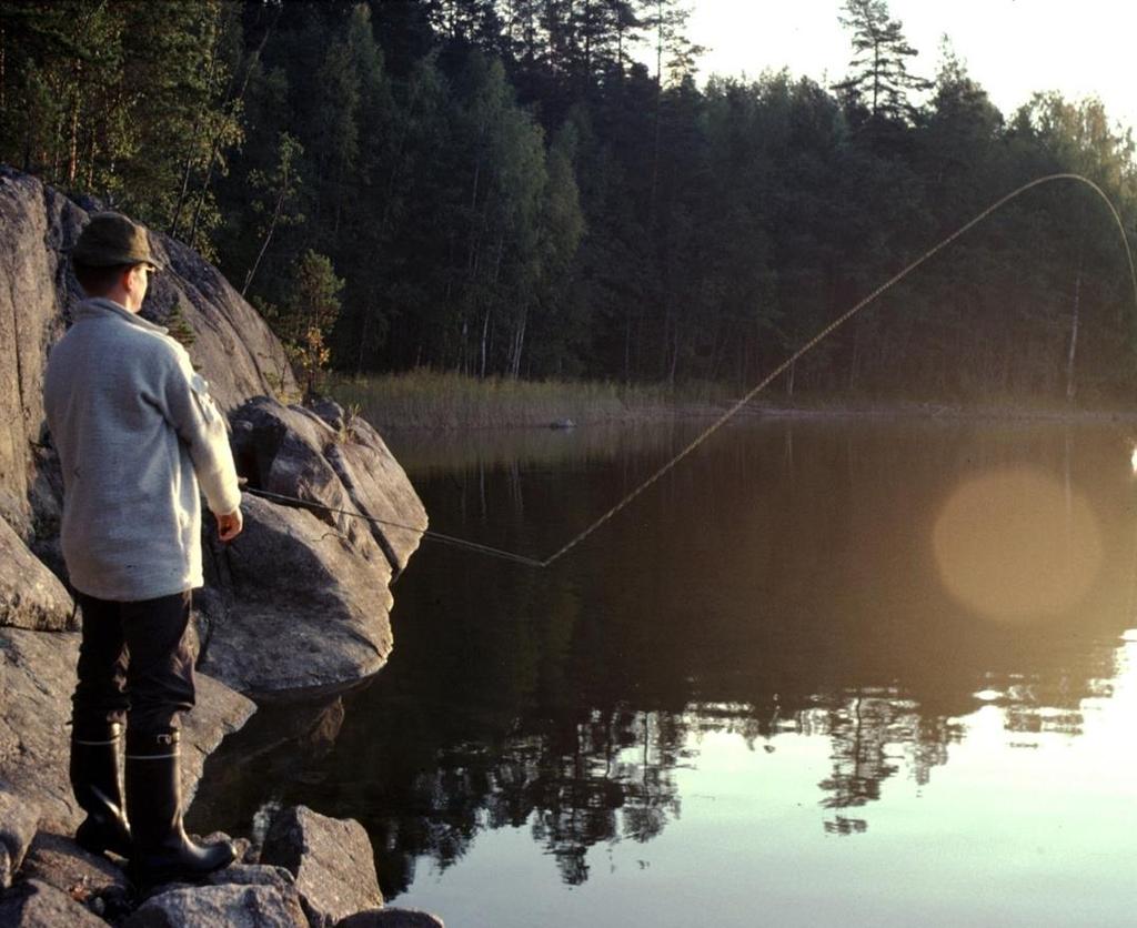 Itä-Suomi yksin asuva mies viehekalastus