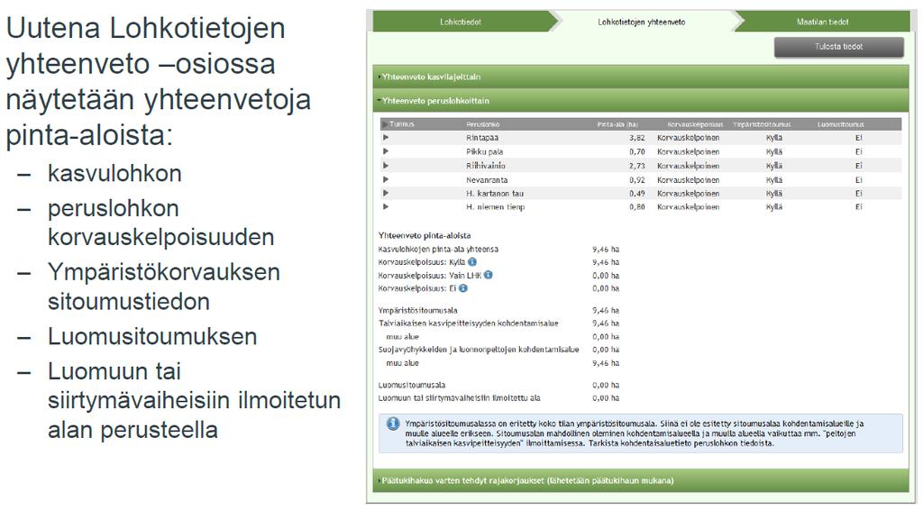 Päätukihaku