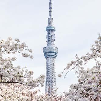 lentoja Kiinaan ja Japaniin 18 kohdetta Aasiassa 7 Amerikoissa Yli 70