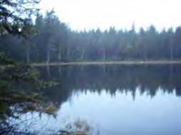Järvien luokittelu virkistyskäyttöarvojen perusteella - 25 - Karut erämaajärvet Taulukossa 4 ja kuvassa 15 järvet on luokiteltu niiden vallitsevien virkistyskäyttömahdollisuuksien perusteella.