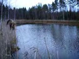 Karut erämaajärvet karuista rehevähköihin järviin, joiden virkistyskäyttöarvon perustana ovat koskematon luonto ja erämaarvot (tyypillisiä virkistyskäyttömuotoja ovat patikointi ja marjastus) Kuva 16.