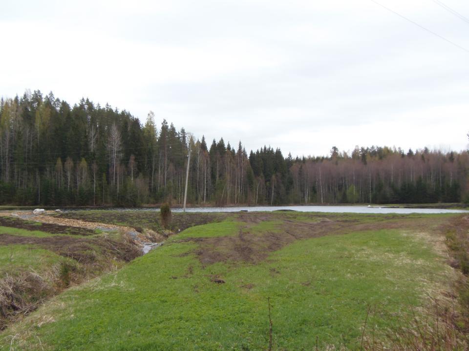 Vitikankorpi Hämeenlinna 5/2014